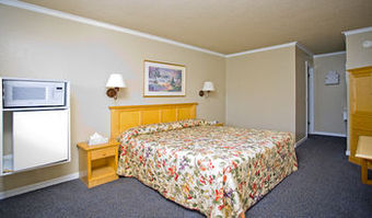 Surf Motel And Gardens