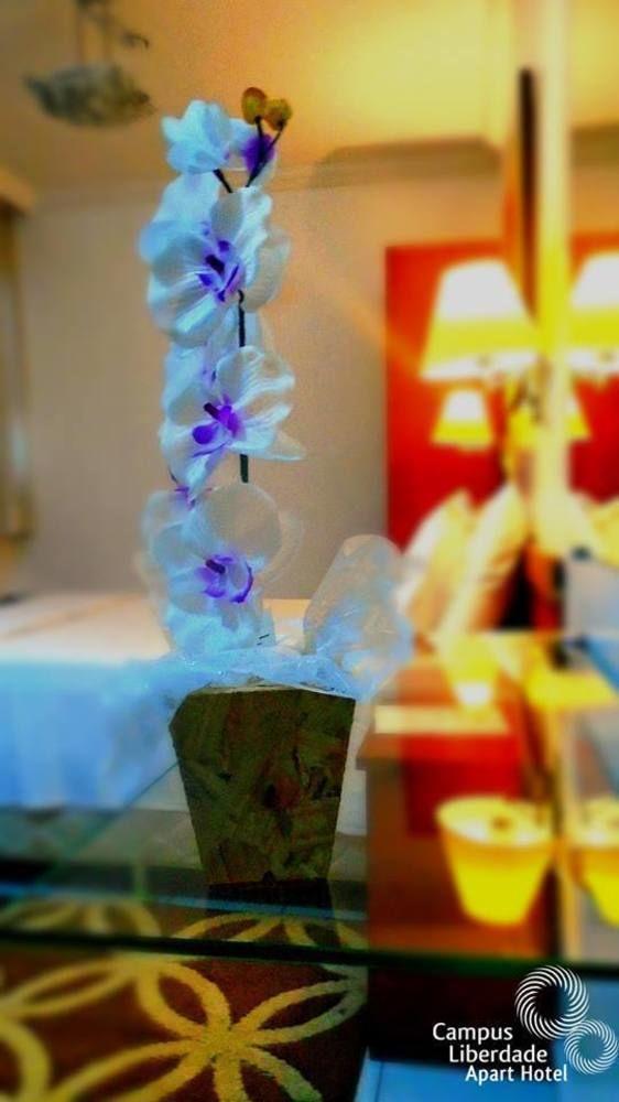 Hotel Campus Liberdade Flat