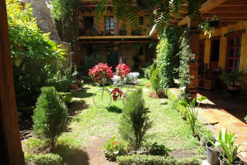 Hotel Posada Primavera