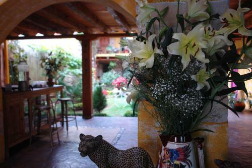 Hotel Posada Primavera