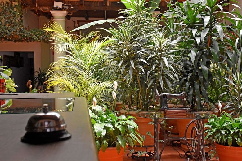 Hotel San Luis