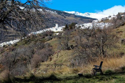 Agroturismo Cortijo Los Iberos "casa Ibero"