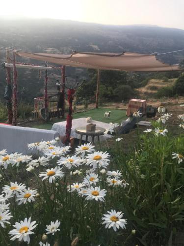 Agroturismo Cortijo Los Iberos "casa Ibero"