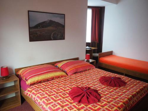 Hostal Pension Boruvka