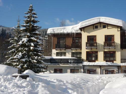 Hostal Pension Boruvka