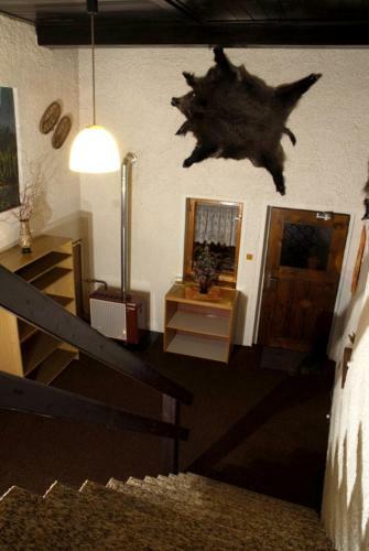 Hostal Pension Duha