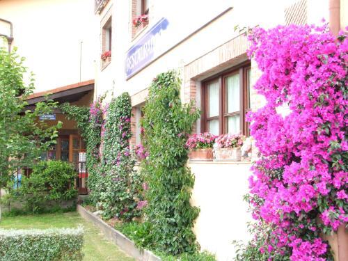 Hostal Posada De Cabrojo