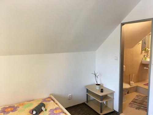 Hostal Penzion 103