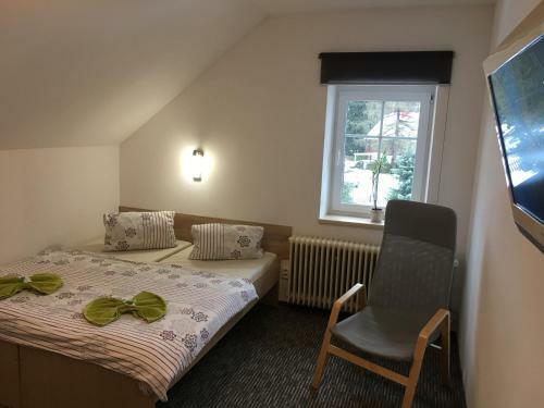 Hostal Penzion 103
