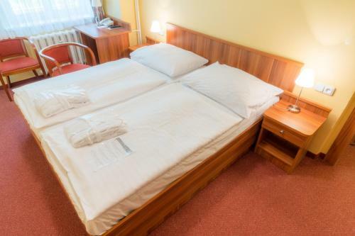 Spa Hotel Vltava