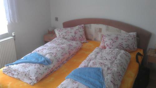 Hostal Penzion U Antonickova Pramene