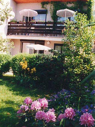 Hostal Pension Villa Hany