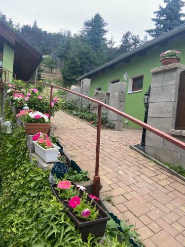 Hostal Penzion U Pavla