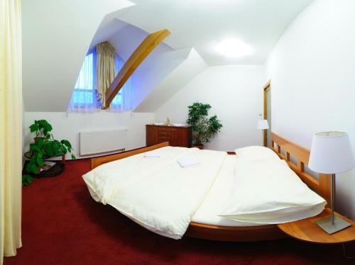 Hostal Minipivovar Valasek