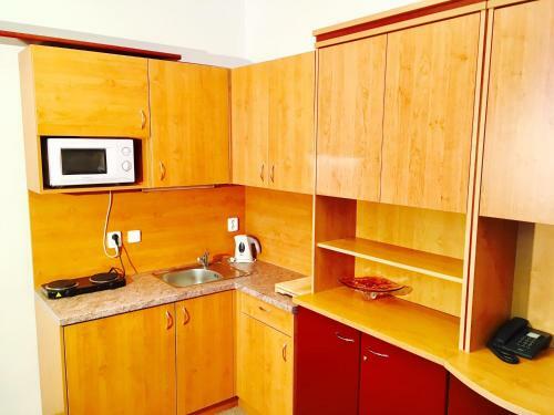 Apartment Radka