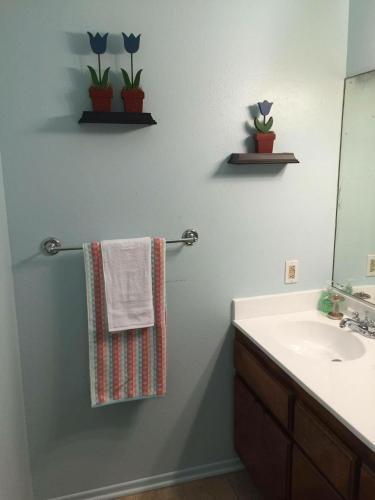 Apartamento Harvard One