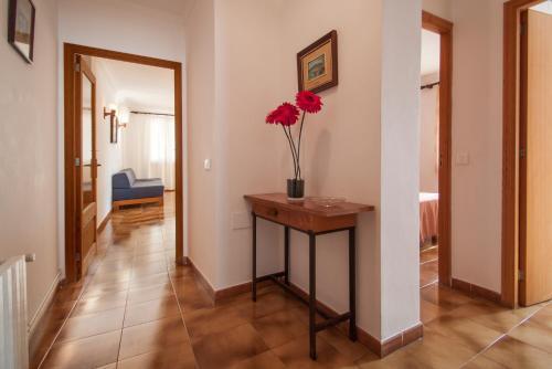 Apartamentos Alamos