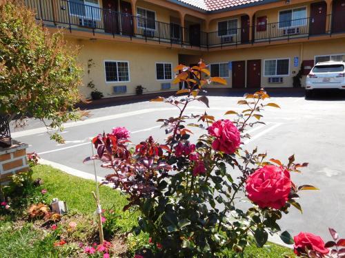 Motel Diamond Inn