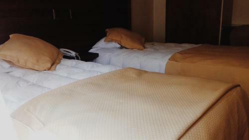 Hotel Plaza Los Andes