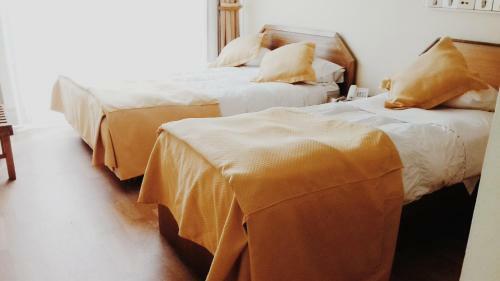 Hotel Plaza Los Andes