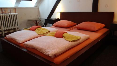 Sokolska Youth Hostel