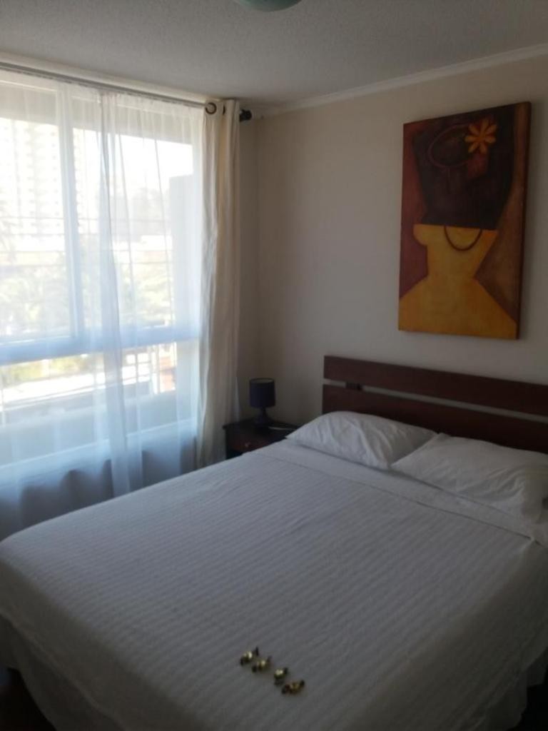 Apartamento Departamento Vi�a Del Mar Viana