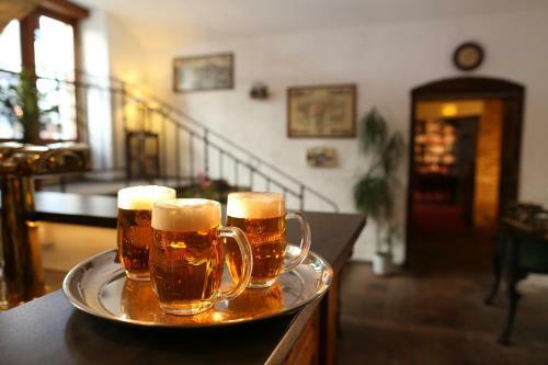Hotel U Semika