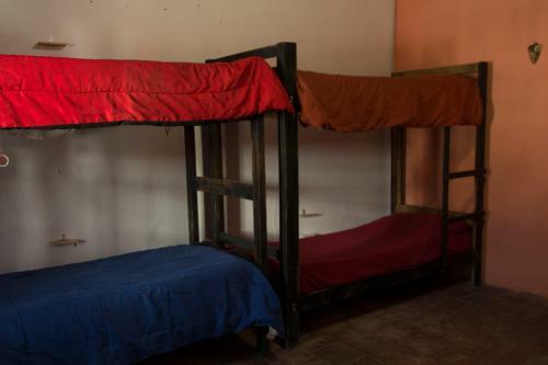 Hostel Casa Arbol