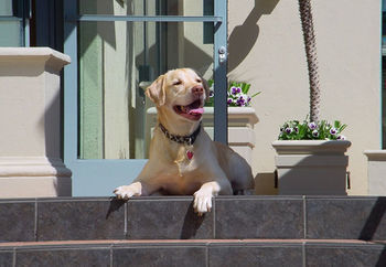 Hotel Jw Marriott Santa Monica Le Merigot