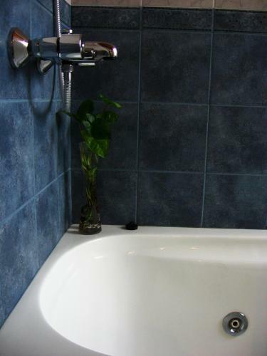 Lodge Carpe Diem Caba�as & Suites