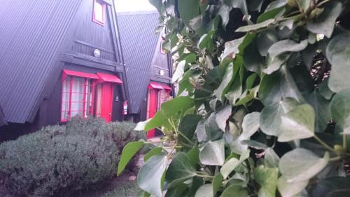 Bed & Breakfast Las Caba�itas