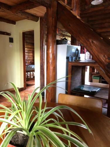 Lodge Caba�as Temistocles