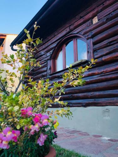 Lodge Caba�as Temistocles