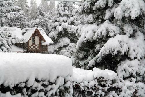 Posada Hoster�a Canela B&B