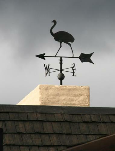 Posada Hoster�a Canela B&B