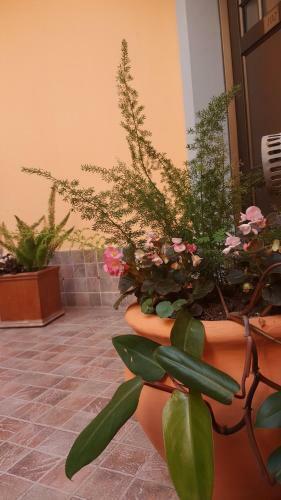 Hotel La Casona