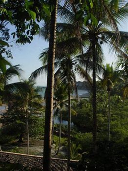 Hostal Pousada Samambaia