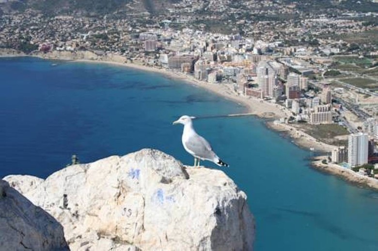 Apartamento In Calpe