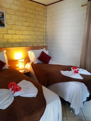 Hostal Pousada Capim A�u