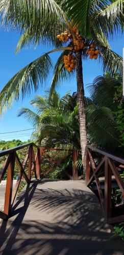 Hostal Pousada Capim A�u