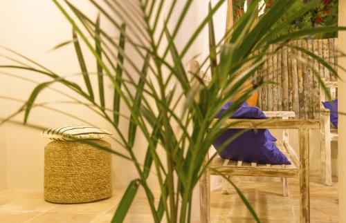 Hostal Pousada Baob�