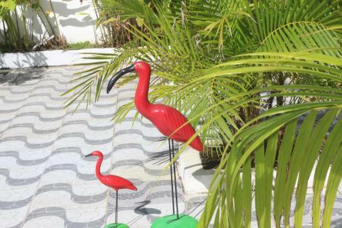 Hostal Pousada Maramazon