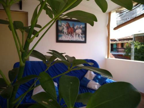 Hostal Pousada Aritibe