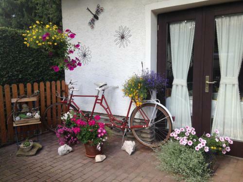 Hostal Pension Roklan