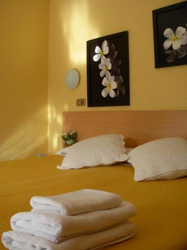 Hotel Rodsan Suizo