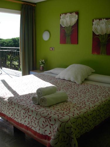 Hotel Rodsan Suizo