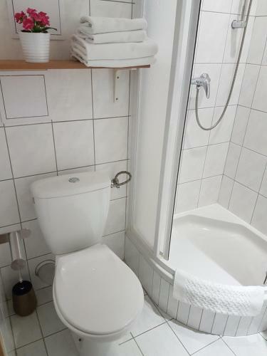 Hotel Lipno