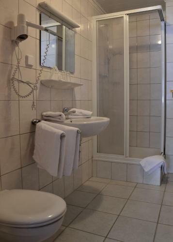 Hostal Alpenhotel Beslhof