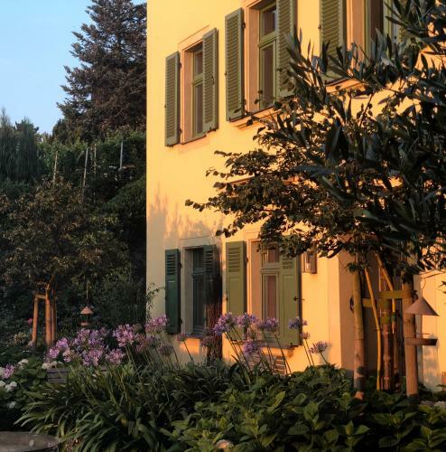 Apartamentos Rebenhaus Mei�en