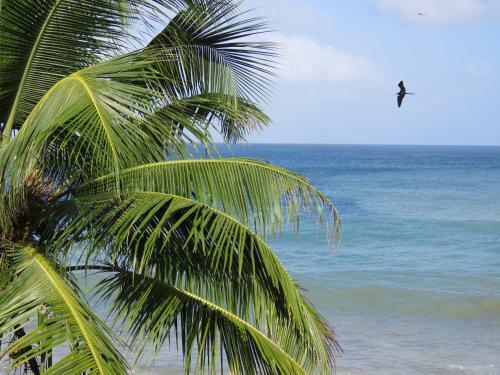 Hotel Las Ma�anitas Capurgana